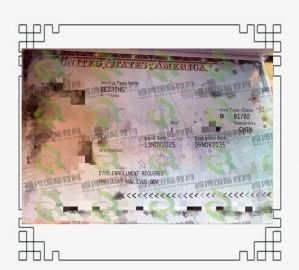 Z女士B2签证顺利获签